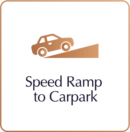 Speed Ramp to Carpark